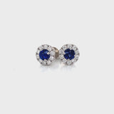Sapphire Halo Earrings